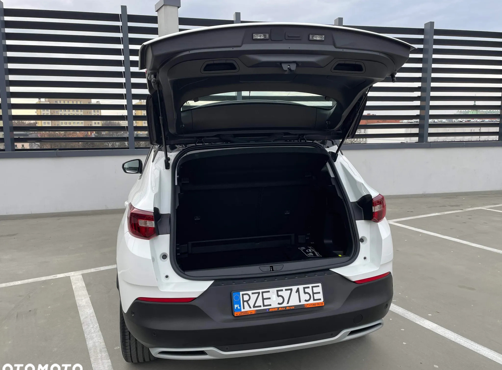 Opel Grandland X cena 89900 przebieg: 45200, rok produkcji 2021 z Rzeszów małe 704